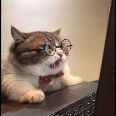 猫咪靠在电脑上的头像