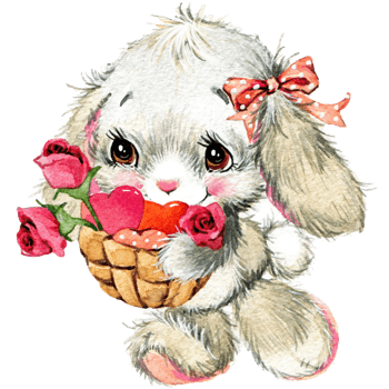 粉玫瑰与兔子头像含义
