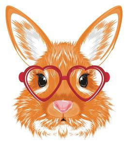 兔子头像眼镜