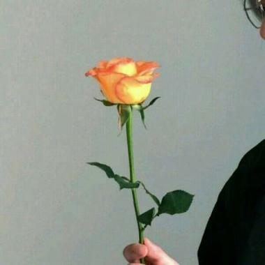 男人用一支玫瑰花做微信头像