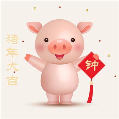 2019猪年姓孔氏头像