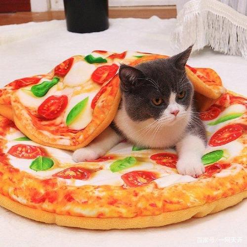 猫咪含着披萨情侣头像