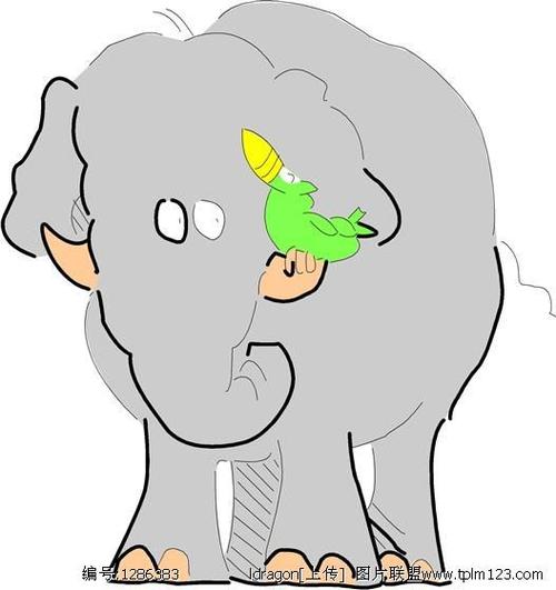 大象的微信头像