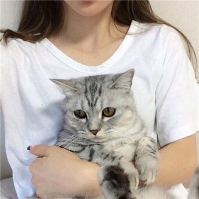 女孩手臂抱着猫咪头像
