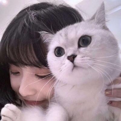 一个女生背对着抱着猫的头像