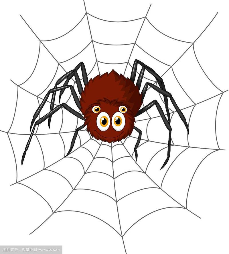 蜘蛛的头像卡通
